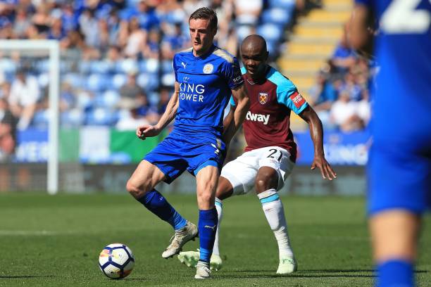 这种稳健的 这种稳健的