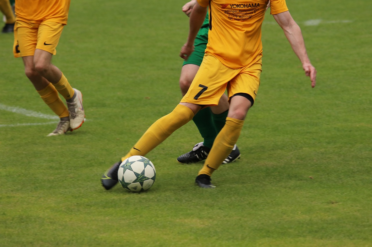 这一胜利不 这一胜利不