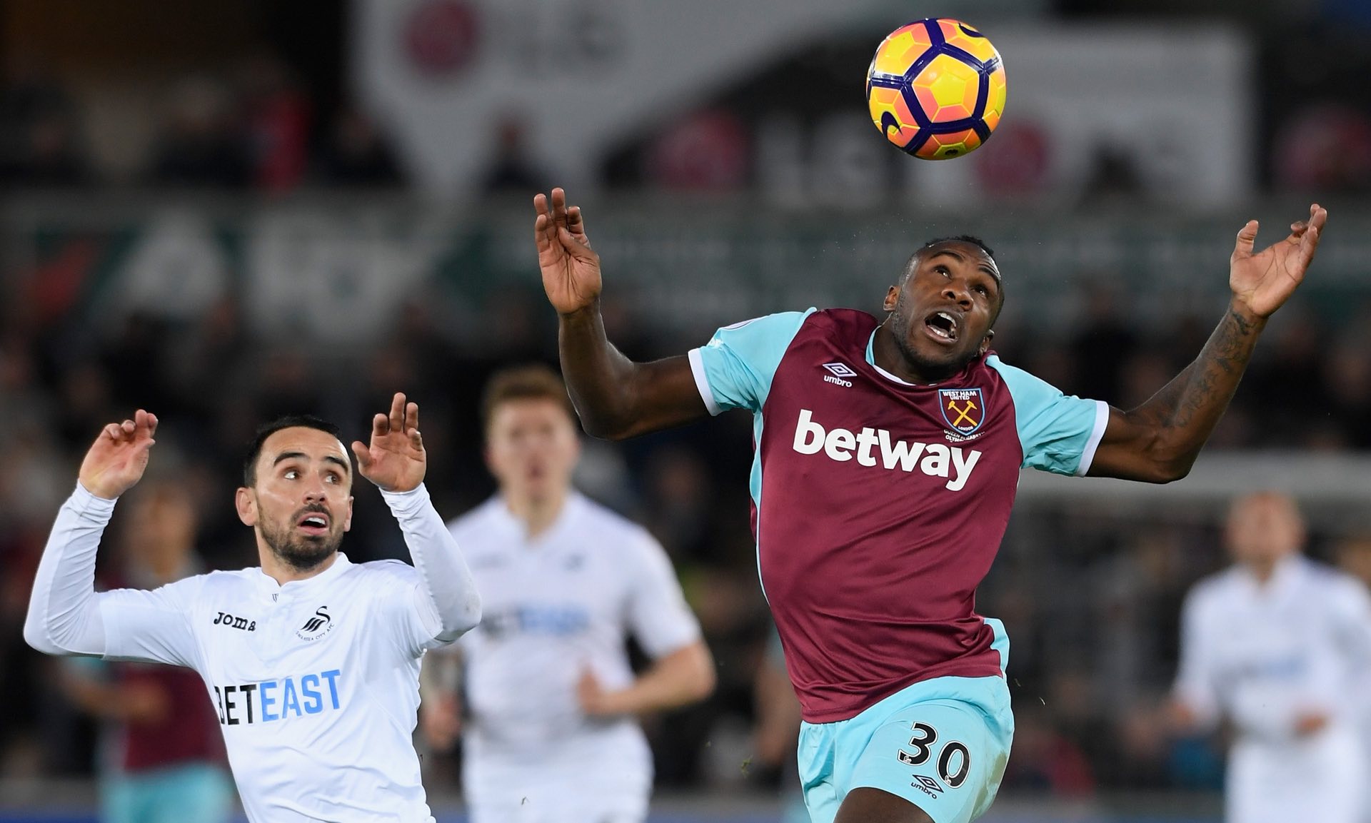 里克的完美 里克的完美